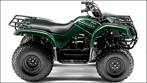 2013 Yamaha Grizzly 125 side view