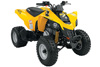 Can-am DS 250 2007
