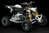 Can-Am DS 450 EFI X MX 2009
