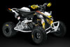 Can-Am DS 450 EFI X XC 2009