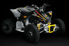 Can-Am DS 90 X 2009