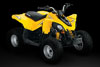 Can-Am DS 90 2009