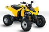 Can-Am DS 250 2010