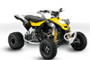 Can-Am DS 450 EFI X mx 2010