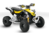 Can-Am DS 450 EFI X xc 2010