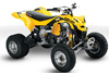 Can-Am DS 450 EFI 2010