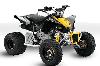 Can-Am DS 90 X 2010