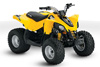 Can-Am DS 90 2010