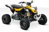 Can-Am DS 450 X MX 2011