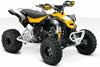 Can-Am DS 450 X XC 2011
