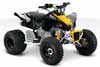 Can-Am DS 90 X 2011