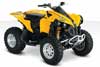 Can-Am Renegade 800R 2011
