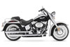 Harley-Davidson (R) Softail Deluxe (EFI) 2006
