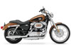 Harley-Davidson (R) Sportster(R) 1200 Custom 105e Anniversaire 2008