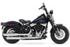 Harley-Davidson (R) Softail (R) Cross Bones 2009