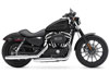 Harley-Davidson (R) Sportster(R) Iron 883 2009
