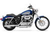 Harley-Davidson (R) Sportster(R) 1200 Custom 2009