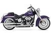 Harley-Davidson (R) Softail(MD) Deluxe 2014
