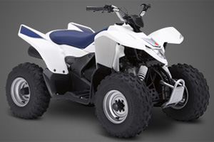 2008 Suzuki QuadSport Z90 - ATV | moto123.com