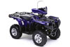 Yamaha Grizzly 700 FI DAE LE Silvertip 2009