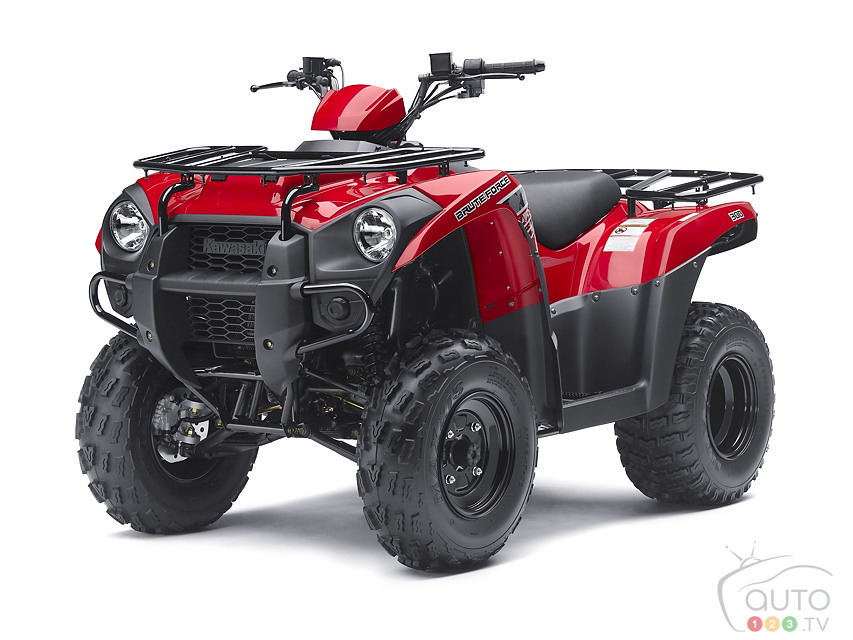 2013 Kawasaki Brute Force 300
