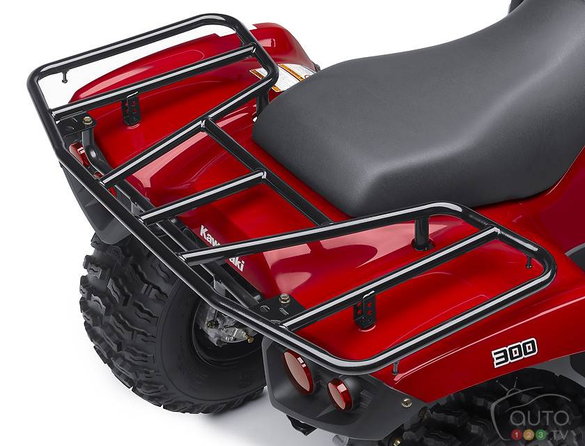 2013 Kawasaki Brute Force 300
