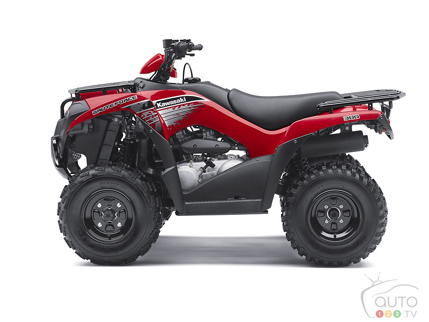 2013 Kawasaki Brute Force 300