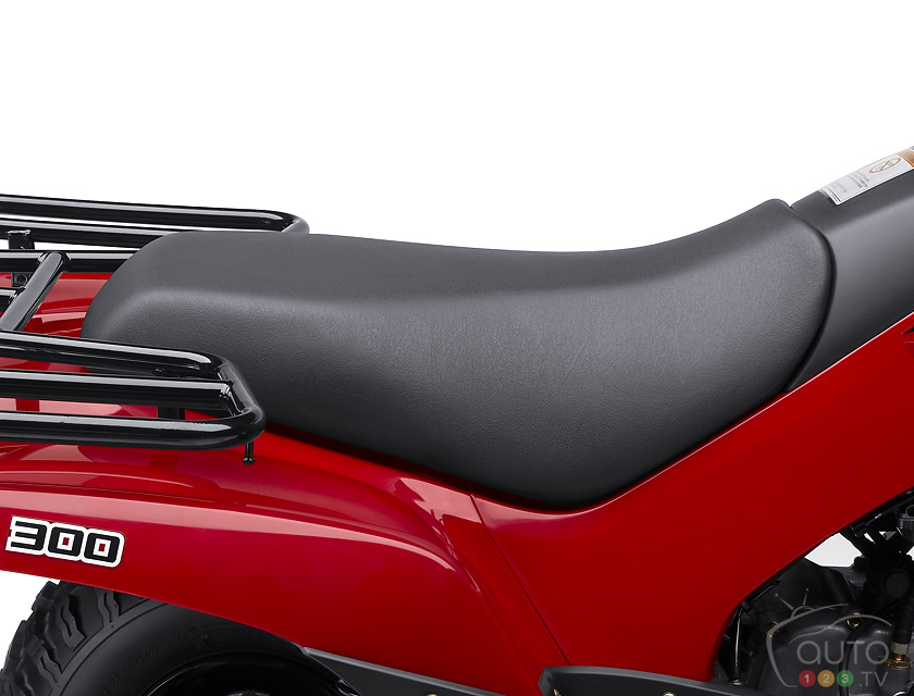 2013 Kawasaki Brute Force 300