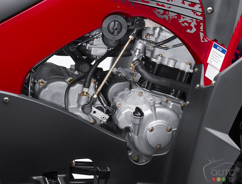 2013 Kawasaki Brute Force 300