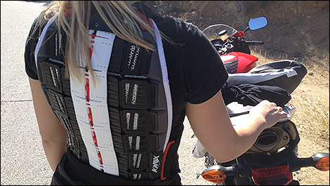 Protecteur dorsal Knox Aegis 