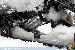 Click on a picture for a bigger version