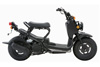 Honda Ruckus 2007