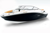 Sea-Doo 210 Challenger SE 2010